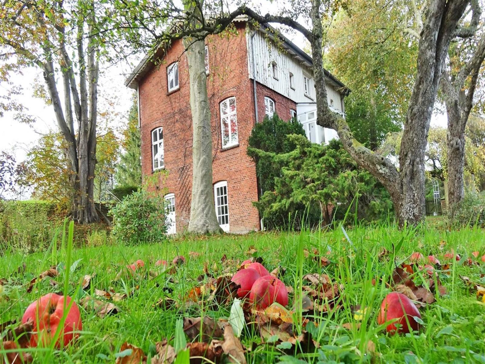 Ferienhaus Naturlich Wassermuhle Kappeln Kültér fotó