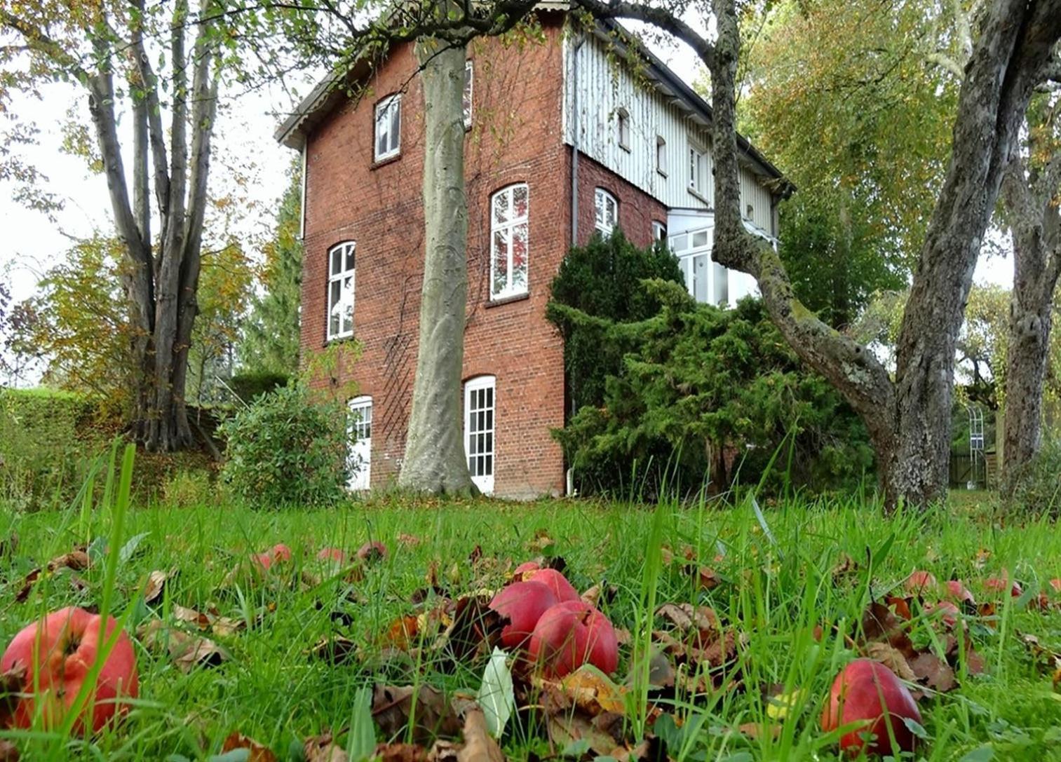 Ferienhaus Naturlich Wassermuhle Kappeln Kültér fotó